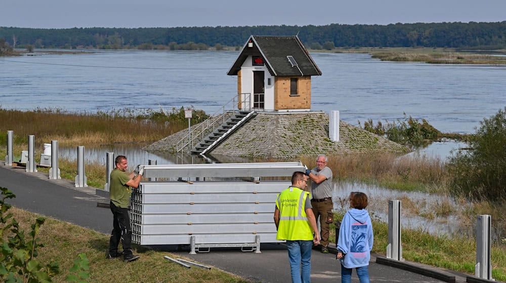 Eine Hochwasserschutzwand soll in Ratzdorf an der Oder die Wassermassen fernhalten. / Foto: Patrick Pleul/dpa