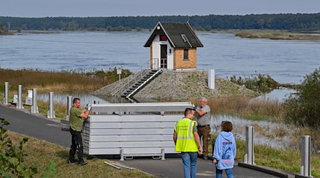 Eine Hochwasserschutzwand soll in Ratzdorf an der Oder die Wassermassen fernhalten. / Foto: Patrick Pleul/dpa