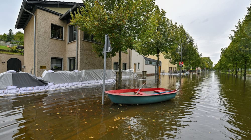 Die Pegelstände in den Hochwassergebieten sinken weiter leicht.  / Foto: Patrick Pleul/dpa