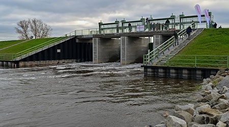 Über das Einlassbauwerk für den Flutungspolder im Nationalpark untres Odertal strömt das Wasser. Asngersicht dr Hochwasser / Foto: Patrick Pleul/dpa-Zentralbild/ZB