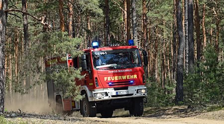 13 Stunden dauerte der Löscheinsatz der Feuerwehr. (Symbolbild) / Foto: Patrick Pleul/dpa-Zentralbild/ZB