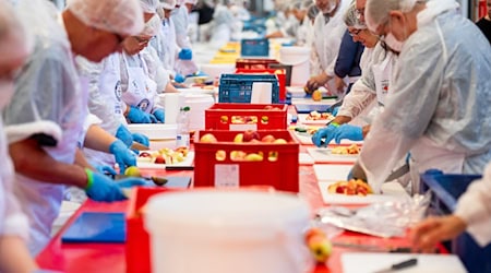 Volle Konzentration: Für den größten Obstsalat der Welt wurden unter anderem Tausende von Äpfeln geschnitten. / Foto: Christophe Gateau/dpa