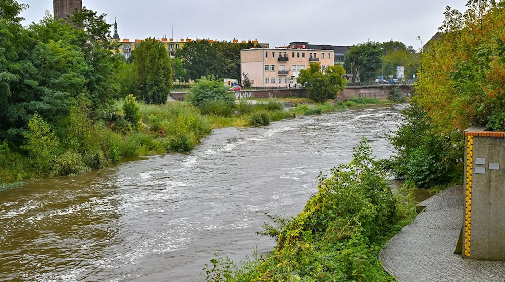 Auch in Brandenburg droht in den kommenden Tagen Hochwasser - der Wasserstand der Neiße in Guben ist bereits gestiegen. (Foto aktuell) / Foto: Patrick Pleul/dpa