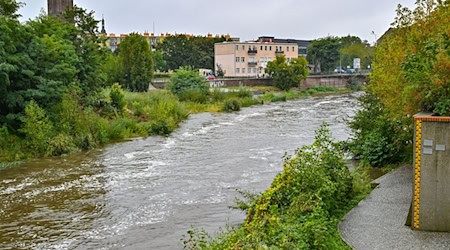 Auch in Brandenburg droht in den kommenden Tagen Hochwasser - der Wasserstand der Neiße in Guben ist bereits gestiegen. (Foto aktuell) / Foto: Patrick Pleul/dpa