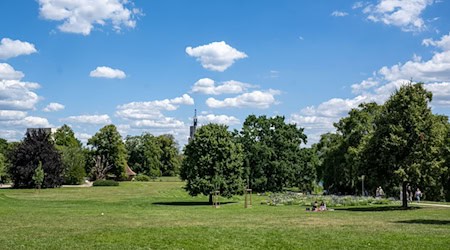 Der ehemalige leitende Gärtner Näthe erhält den Verdienstorden Deutschlands. (Archivbild) / Foto: Monika Skolimowska/dpa