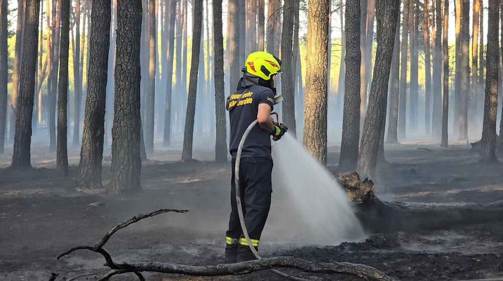 Die Feuerwehr hat einen Waldbrand bei Ruhlsdorf unter Kontrolle gebracht. / Foto: Cevin Dettlaff/dpa