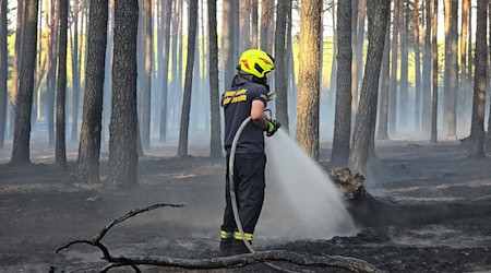 Die Feuerwehr hat einen Waldbrand bei Ruhlsdorf unter Kontrolle gebracht. / Foto: Cevin Dettlaff/dpa