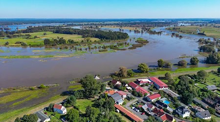 Der deutsch-polnische Grenzfluss Oder führt bei Ratzdorf im Kreis Oder-Spree Hochwasser. / Foto: Patrick Pleul/dpa