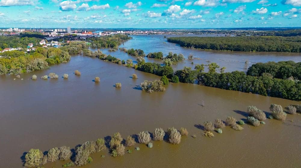 Die Wasserstände in Brandenburg sinken weiter. (Archivbild) / Foto: Patrick Pleul/dpa