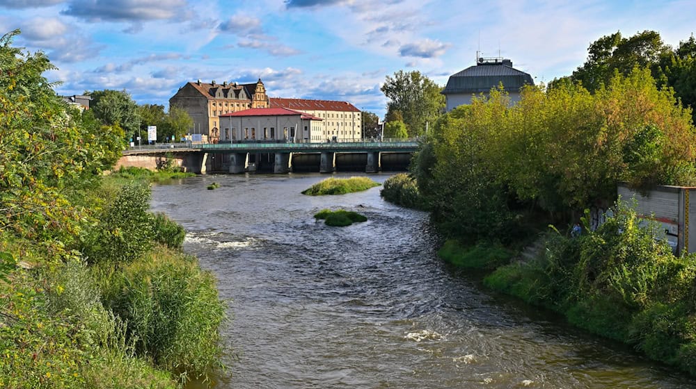 An der Oder droht in den kommenden Tagen eine Hochwasserwelle (Foto aktuell). / Foto: Patrick Pleul/dpa