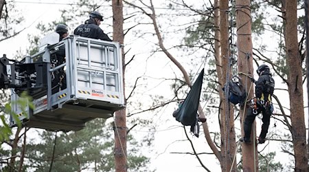 Erst vor ein paar Tagen hatten Aktivisten mit einem besetzten Baum einen Polizeieinsatz ausgelöst. (Archivbild) / Foto: Sebastian Christoph Gollnow/dpa