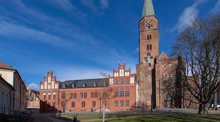 Das brandenburgische Domstift will 2025 wieder einen Freiheitspreis verleihen. (Archivbild) / Foto: Monika Skolimowska/dpa-Zentralbild/dpa