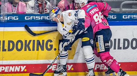 Eisbären-Profi Frederik Tiffels (r) hofft auf einen Auswärtssieg in München. / Foto: Andreas Gora/dpa