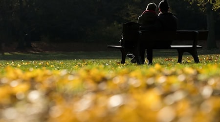 Goldene Herbsttage mit milden Temperaturen stehen in Berlin und Brandenburg an. (Archivfoto) / Foto: Sebastian Christoph Gollnow/dpa