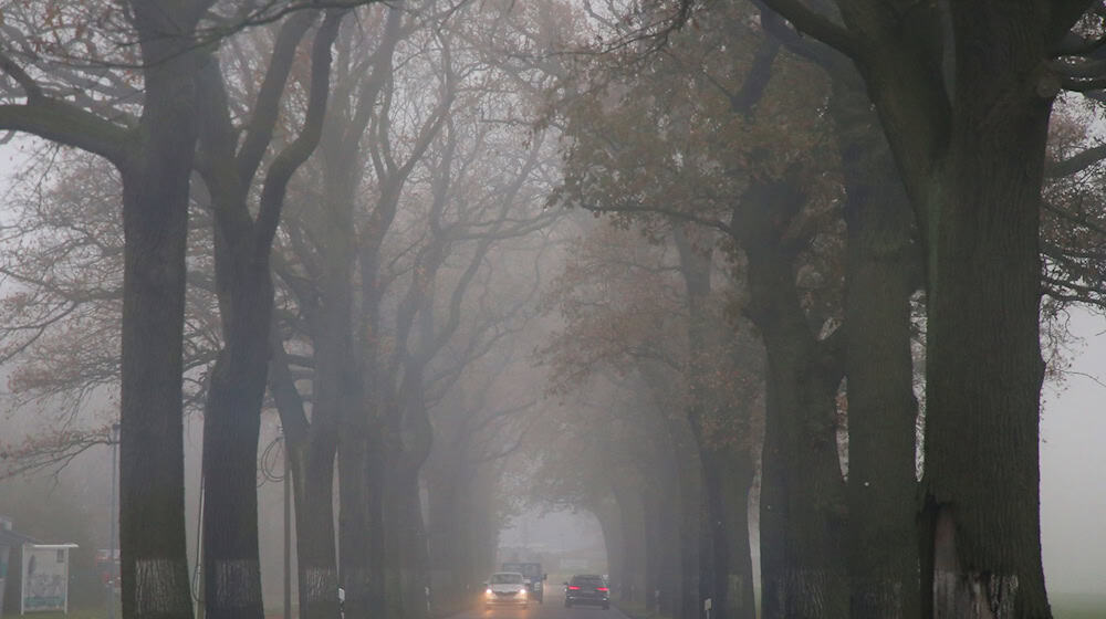 Am Morgen ist es in der Hauptstadtregion neblig. (Archivbild) / Foto: Wolfgang Kumm/dpa