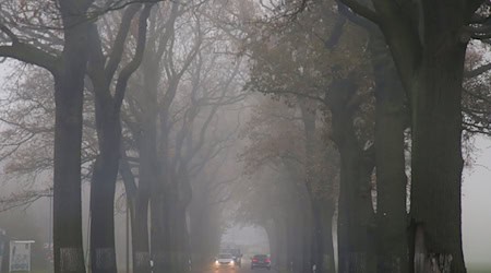 Am Morgen ist es in der Hauptstadtregion neblig. (Archivbild) / Foto: Wolfgang Kumm/dpa