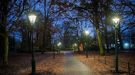 Gaslaternen im Tiergarten in Berlin. (Archivfoto) / Foto: Philipp Znidar/dpa-Zentralbild/dpa