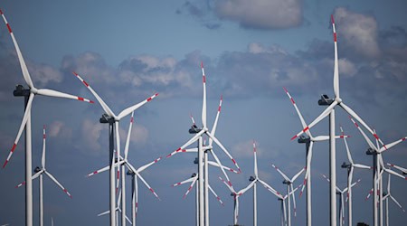 Die Energienutzung aus Wind- und Solarkraft ist 2023 auf dem höchsten je registrierten Stand. (Archivbild) / Foto: Christian Charisius/dpa