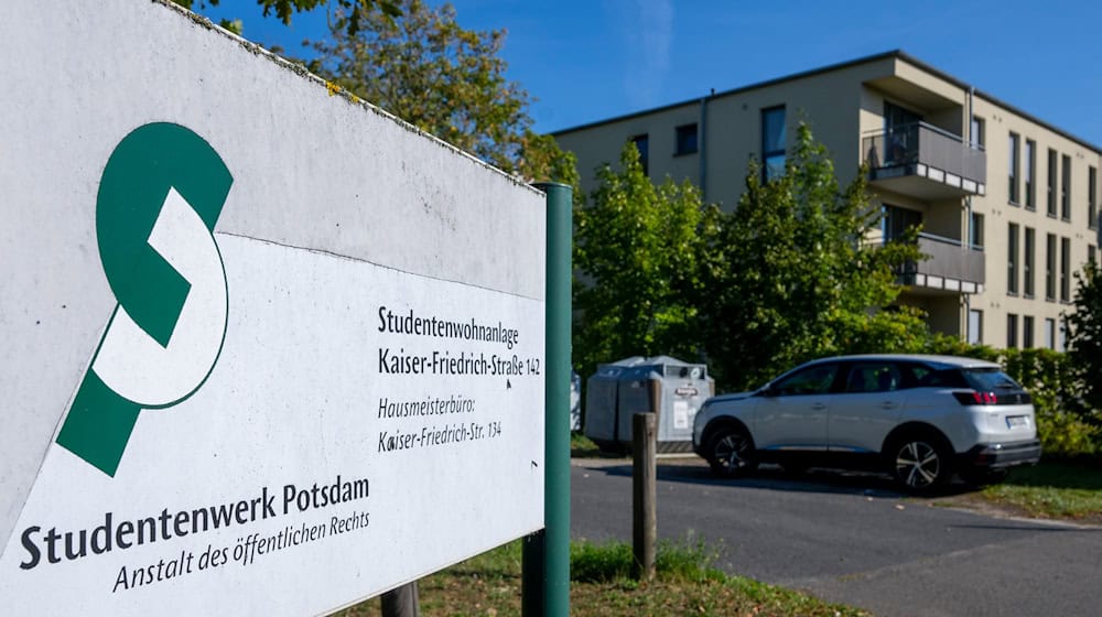 Tausende junge Leute haben in Brandenburg zum Wintersemester ein Studium aufgenommen - in einigen Hochschulstädten bereitet ihnen knapper Wohnraum Probleme (Archivbild).  / Foto: Monika Skolimowska/dpa