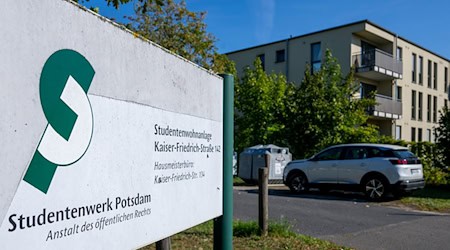 Tausende junge Leute haben in Brandenburg zum Wintersemester ein Studium aufgenommen - in einigen Hochschulstädten bereitet ihnen knapper Wohnraum Probleme (Archivbild).  / Foto: Monika Skolimowska/dpa