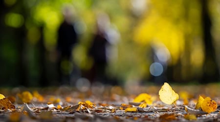 Mit reichlich Sonne und milde Temperaturen lässt sich der Herbst am Freitag aushalten. / Foto: Monika Skolimowska/dpa