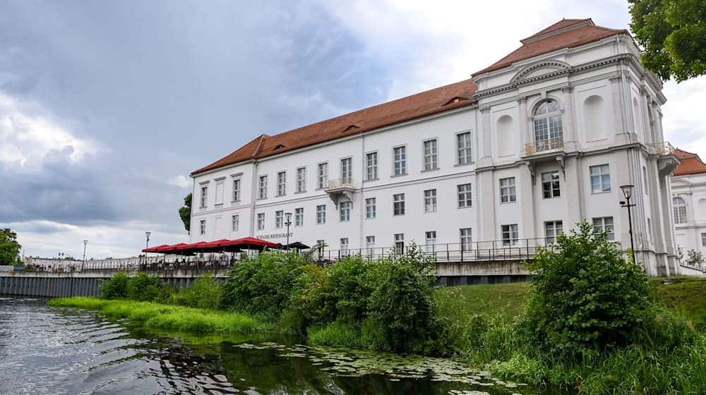 Im Schloss Oranienburg findet am Freitag ein Speed-Dating statt. (Archivbild) / Foto: Jens Kalaene/dpa-Zentralbild/dpa