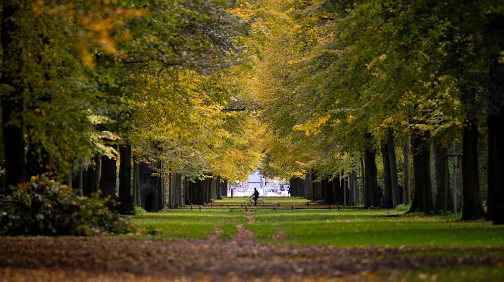 Mit 18 Grad sind die Temperaturen in der Hauptstadtregion zum Start der Herbstferien recht mild. (Symbolbild) / Foto: Monika Skolimowska/dpa