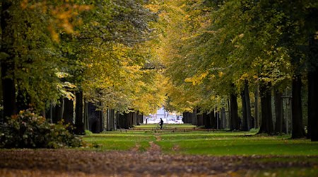 Mit 18 Grad sind die Temperaturen in der Hauptstadtregion zum Start der Herbstferien recht mild. (Symbolbild) / Foto: Monika Skolimowska/dpa