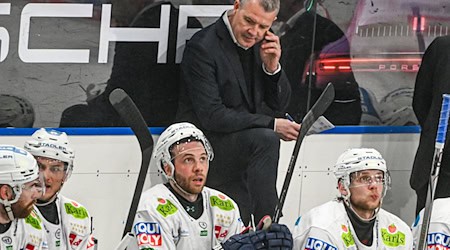 Die Eisbären Berlin mussten sich beim Vizemeister Bremerhaven knapp geschlagen geben. / Foto: Armin Weigel/dpa