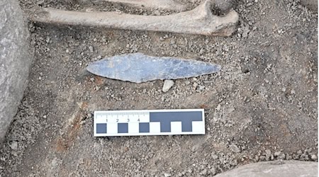 Archäologen sind auf rund 4.000 Jahre alte Gräber in der Uckermark bei Casekow gestoßen. Sie konnten Knochen und einen sogenannten Flintdolch freilegen. / Foto: F. Schreiber/BDLAM/dpa