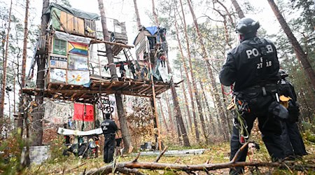 Höhenretter der Polizei holen Umweltaktivisten im Tesla-Protestcamp von Baumhäusern. / Foto: Sebastian Christoph Gollnow/dpa