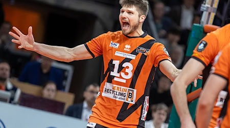 Berlin Volleys gewinnen souverän in Maaseik