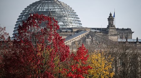 Die Brandenburger Parteien bereiten sich auf die Neuwahl des Bundestages vor (Archivbild). / Foto: Hannes P Albert/dpa