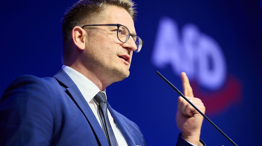 Der Brandenburger AfD-Landeschef René Springer hält den Antrag auf Prüfung eines AfD-Verbots für ein «antidemokratisches Komplott» (Archivbild). / Foto: Annette Riedl/dpa