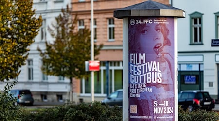 Das Filmfestival in Cottbus findet in diesem Jahr vom 5. bis zum 10. November statt. / Foto: Frank Hammerschmidt/dpa