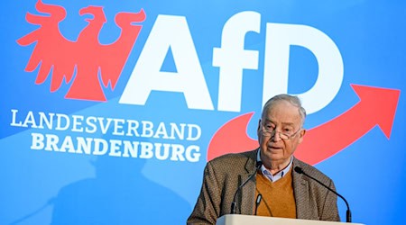 AfD-Mitgründer Alexander Gauland attackiert die CDU. / Foto: Patrick Pleul/dpa