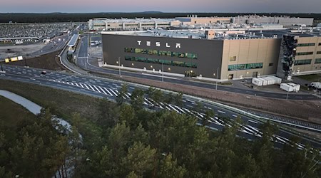 Die IG Metall sieht die Arbeitsbelastung der Beschäftigten als Ursache für den hohen Krankenstand bei Tesla (Archivbild) / Foto: Jörg Carstensen/dpa