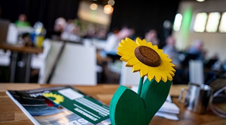 Die Sonnenblume gehört zum Logo der Grünen, die nach den Wahlniederlagen raus aus der Krise wollen. (Archivbild) / Foto: Fabian Sommer/dpa