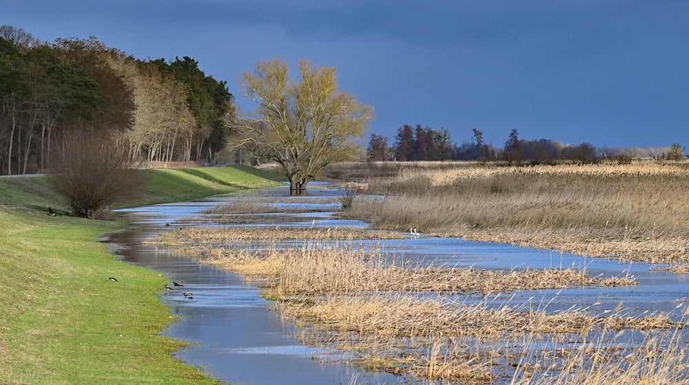 In der Uckermark wird der Hochwasserschutz verbessert - etwa mit einem Bauwerk zur Flutung von Polderflächen. (Archivbild) / Foto: Patrick Pleul/dpa