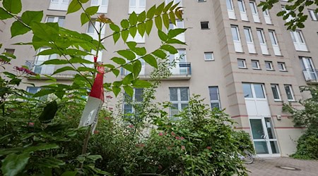 Eine Mutter soll ihr Kind aus dem Fenster geworfen haben. Das Gericht ordnete ihre Unterbringung in der Psychiatrie an.  / Foto: Jörg Carstensen/dpa