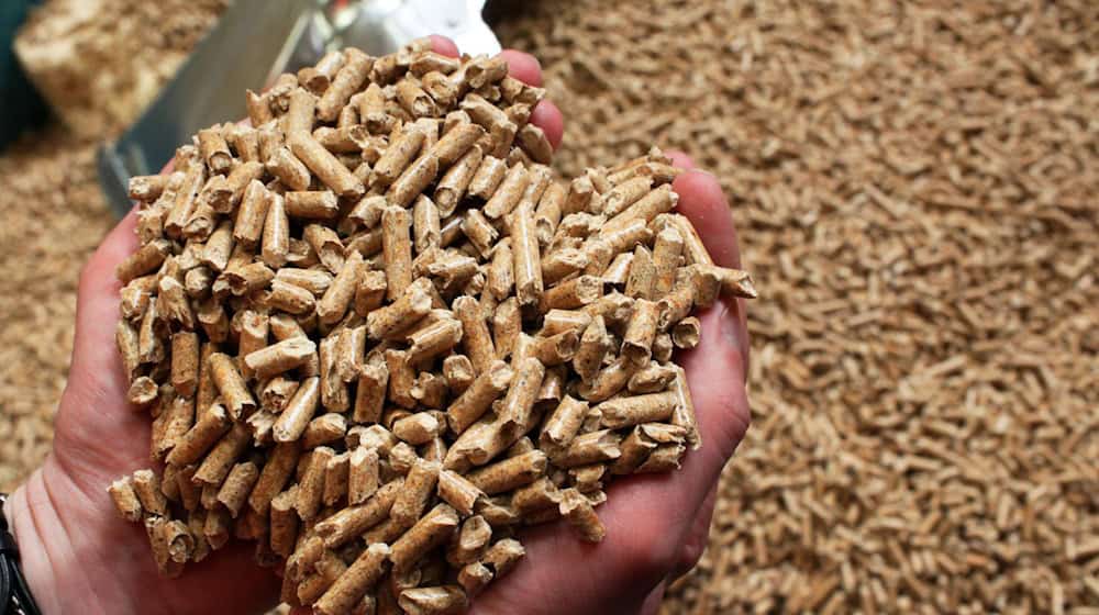 Das Energieunternehmen Leag übernimmt einen Holzpellet-Produzenten aus Schweden. (Symbolbild) / Foto: picture alliance / Jens Büttner/dpa