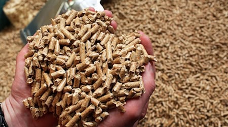 Das Energieunternehmen Leag übernimmt einen Holzpellet-Produzenten aus Schweden. (Symbolbild) / Foto: picture alliance / Jens Büttner/dpa