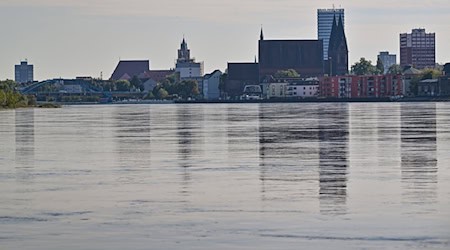 Das Hochwasser hinterließ an den Hochwasserschutzanlagen vergleichsweise geringe Schäden. (Archivbild) / Foto: Patrick Pleul/dpa