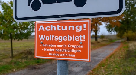 Es gehe nicht darum, den Menschen mit den Schildern den Besuch in der Natur zu vermiesen, sagte der Wolfsbeauftragte des Amts Seelow-Land, Robert Schulz. / Foto: Patrick Pleul/dpa