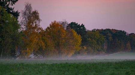 Am Wochenende kämpft sich vereinzelt die Sonne durch, nachts wird es frostig. (Symbolbild) / Foto: Patrick Pleul/dpa