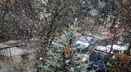 Schneeregen und einzelne Gewitter werden in Berlin und Brandenburg erwartet. / Foto: Jens Kalaene/dpa