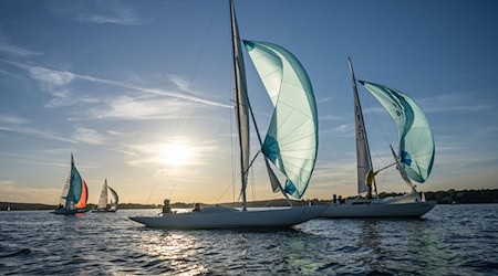 Segeln auf dem Wannsee ist schon lange ausgesprochen beliebt. Beim Wassertourismus in Berlin sehen Experten aber noch Wachstumspotenzial. (Archivbild) / Foto: Michael Kappeler/dpa