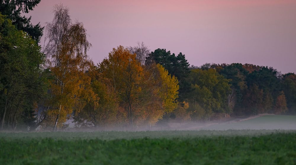 In der Nacht zum Sonntag und am Sonntagmorgen gibt es gebietsweise Nebel. (Symbolbild) / Foto: Patrick Pleul/dpa