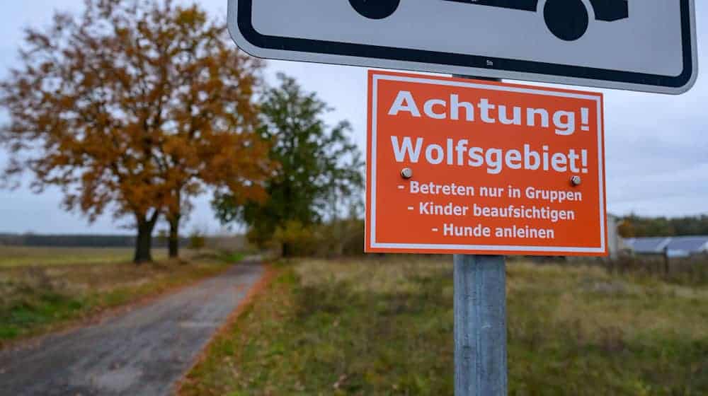 Achtung Wolfsgebiet: In einer Gemeinde im Kreis Märkisch-Oderland hängt ein solches Hinweisschild - das ist in Brandenburg aber die Ausnahme. (Archivfoto) / Foto: Patrick Pleul/dpa