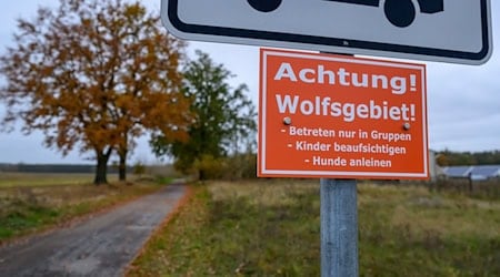 Achtung Wolfsgebiet: In einer Gemeinde im Kreis Märkisch-Oderland hängt ein solches Hinweisschild - das ist in Brandenburg aber die Ausnahme. (Archivfoto) / Foto: Patrick Pleul/dpa